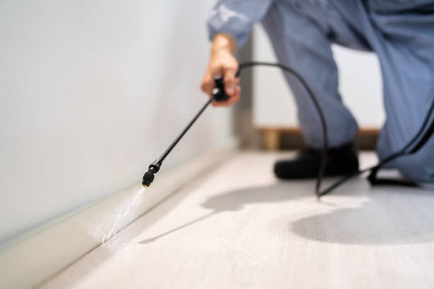 Licensed Rodent Control service in Wakulla County County, FL - Nex Pest Control